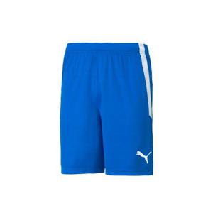 푸마 팀리가 쇼츠(70492402) 반바지 70492402 253523