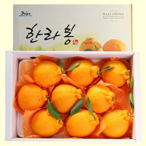 [제주직송]단맛이 꽉찬 달콤한 한라봉(11-13과)3kg