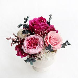 핑크믹스 화이트화기