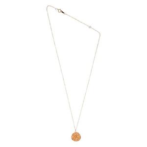 알리기에리 카프리콘 메달리온 네크리스 FJ1069A24