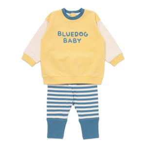 [블루독베이비]YE)로고상하세트 45A70-672-22 출산백일돌