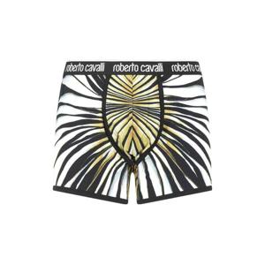 25 FW 로베르토 카발리 프린트 복서 브리프 TRO02AJJP36 TP443542765