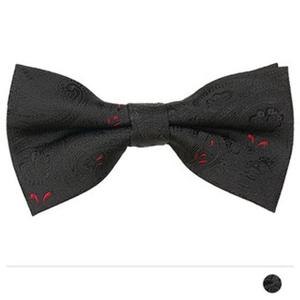 블랙 페이즐리 보타이