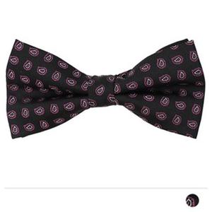 리틀 페이즐리 보타이