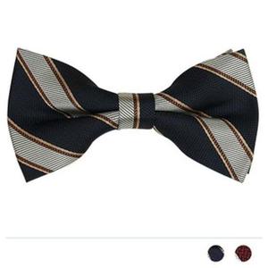 로프 윗 스트라이프 보타이