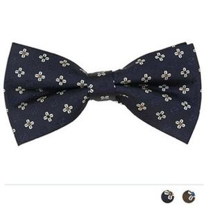 꽃 두송이 보타이