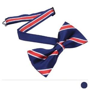 코발트 네이비 보타이