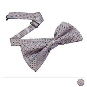 스케어 체크 보타이