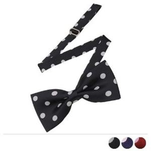 큐티 빅도트 보타이