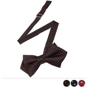 배색 잔도트 버터플라이 보타이