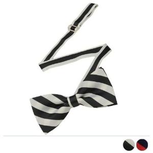 스트라이프 보타이