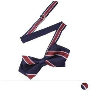 와이드 삼색 보타이