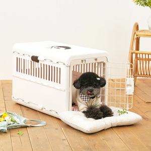 페스텝 켄넬방석 파스텔 빼꼼이 (M) 강아지 애견 쿠션