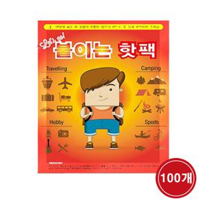 바이온 붙이는 핫팩 (48g X 100매)