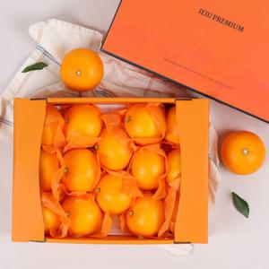 제주 천혜향 고급 선물세트 3kg (중향/13-18과)