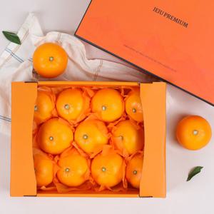 제주 천혜향 고급 선물세트 3kg (대향/7-12과)