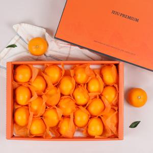 제주 천혜향 고급 선물세트 5kg (중향/21-30과)