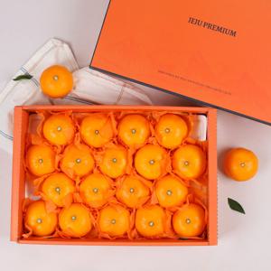 제주 천혜향 고급 선물세트 5kg (대향/11-20과)