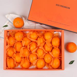 제주 레드향 고급 선물세트 5kg (중향/21-30과)