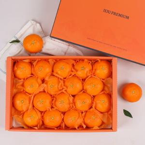 제주 레드향 고급 선물세트 5kg (대향/11-20과)