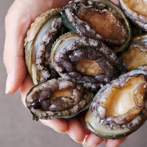 [작심밀도]산지직송 청해 완도 활전복 대 1kg (12-13미)