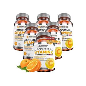 6개X  비토로지랩스  리포조말  비타민C  2000mg  180캡슐