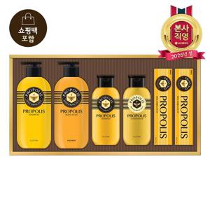 [LG설선물세트] 프로폴리스 에센셜 세트