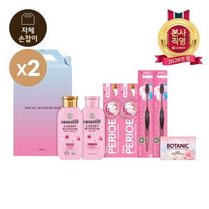 [LG설선물세트] 스페셜 블루밍박스 P호*2개