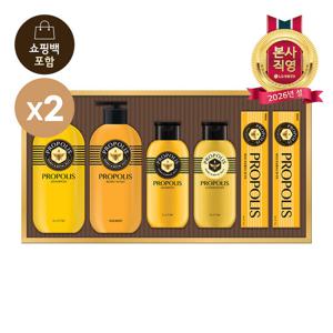 [LG설선물세트] 프로폴리스 에센셜 세트*2개