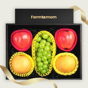 일품2호 혼합 과일선물세트 (사과2개, 배2개, 샤인머스캣1개)