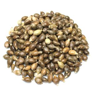 국산 피율무 1kg 껍질있는 통율무