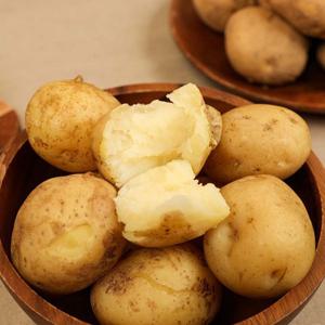 [더프레시] 국내산 포슬포슬 수미감자 5kg 특