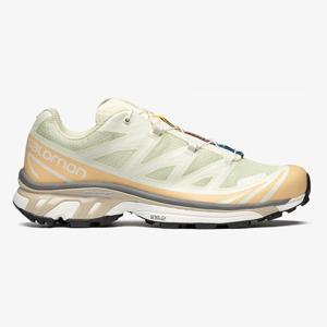 살로몬 스니커즈 XT-6 알로에워시/헤이즐넛 L47293700