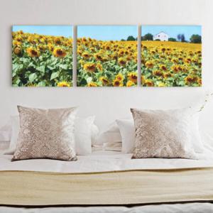 아트박스/꾸밈 iy751-해바라기집_소형노프레임세트