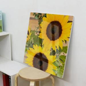 아트박스/꾸밈 ac141-폼아크릴액자56CmX56Cm_해바라기두송이