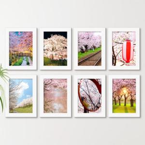 아트박스/꾸밈 cw890-분홍빛벚꽃가득일본_액자세트