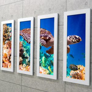 아트박스/꾸밈 iy908-산호초와바다거북_액자세트