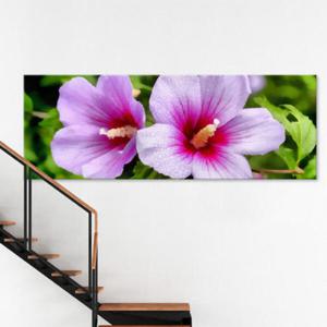 아트박스/꾸밈 ct709-우리나라무궁화_대형노프레임