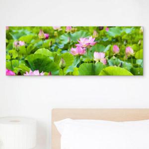 아트박스/꾸밈 cv500-마음의안정연꽃_대형노프레임