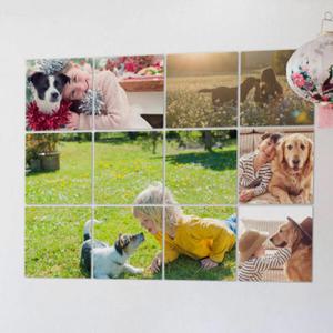 아트박스/꾸밈 ce594-멀티액자_반려견과함께01