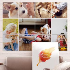 아트박스/꾸밈 ce595-멀티액자_반려견과함께02
