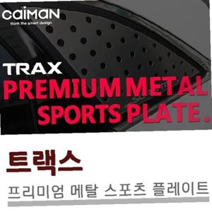 트랙스 메탈 플레이트 몰딩 좌우 1set A필러 C필러
