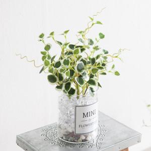 아이비 조화 화병 미니잎 얼음 set 22cm (DIY) 2타입 인테리어 식물 테이블 장식 소품