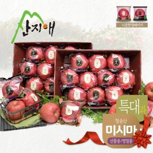 산지애 특대 사과 6kg (3kg*2박스)