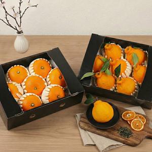 제주 한라봉 천혜향 명품 선물세트 (한라봉2kg+천혜향2kg)