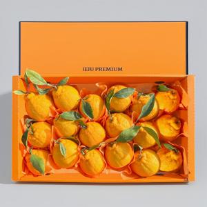 [산지직송] 명품제주 프리미엄 한라봉 선물세트 4.5kg 중과