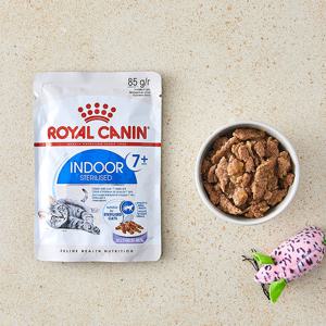 로얄캐닌 인도어 7+ 젤리 파우치 85g 고양이 사료