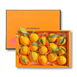 [산지직송] 명품제주 프리미엄 한라봉 선물세트 4.5kg 대과