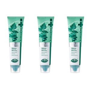 [땡큐온]덴티스테 프로 플러스화이트 치약 160g x3개 구취제거