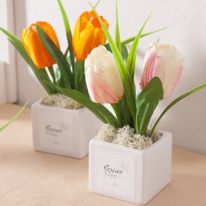 튤립 조화 화분 2송이 사각 (2개입) set 20cm 4컬러 인테리어 꽃 테이블 장식 소품 꾸미기